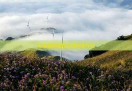 吐鲁番到恩施大峡谷旅行社2025年6月12日