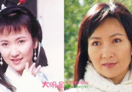 陈美琪简介,从影视明星到慈善家，她的人生传奇